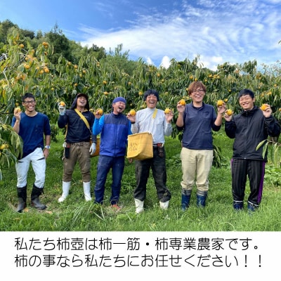 【柿専業の農家が作る】出雲産西条柿　5kg【1_8-018】