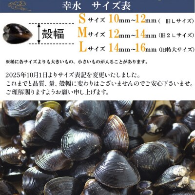 宍道湖産冷凍しじみSサイズ(殻幅10㎜～12㎜)240g×10袋