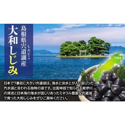 宍道湖産冷凍しじみSサイズ(殻幅10㎜～12㎜)240g×10袋