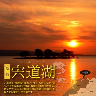 宍道湖産冷凍しじみLサイズ(殻幅10㎜～12㎜)240g×10袋