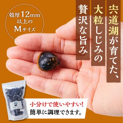 漁師直送!宍道湖産ヤマトシジミ・Mサイズ冷凍2.4kg