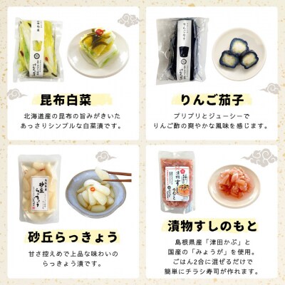 けんちゃん漬彩り8品セット