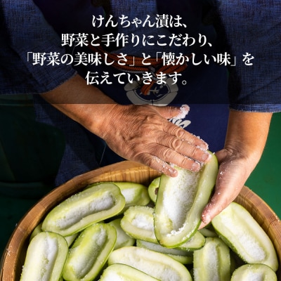 けんちゃん漬彩り8品セット