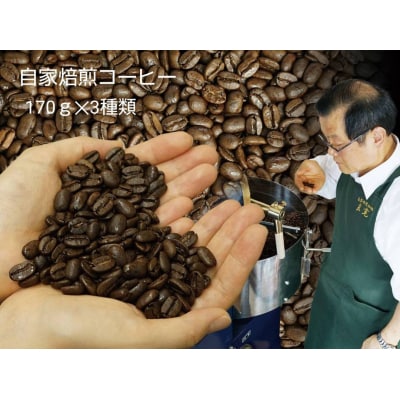 【挽き方:中細挽き】お家でカフェ♪アメリカンスペシャリティ認定豆170g×3袋