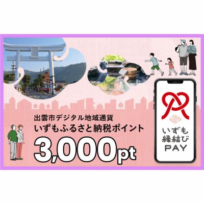出雲市 デジタル地域通貨「いずも縁結びPAY」 いずもふるさと納税ポイント3,000pt