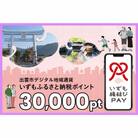 出雲市 デジタル地域通貨「いずも縁結びPAY」 いずもふるさと納税ポイント30,000pt