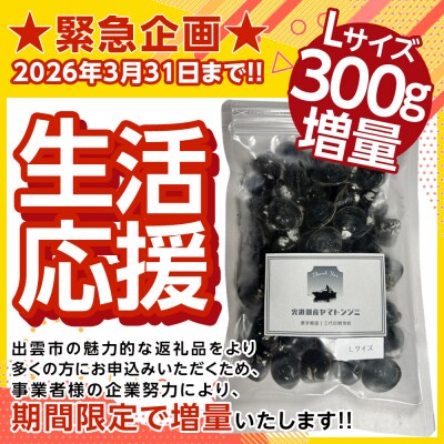 【3月31日迄 Lサイズ 300g増量!! 】漁師直送!宍道湖産ヤマトシジミ・Lサイズ冷凍4kg