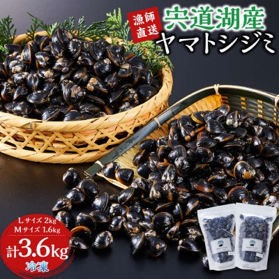 漁師直送!宍道湖産ヤマトシジミ・食べ比べ3.6kg(Lサイズ2kg+Mサイズ1.6kg)