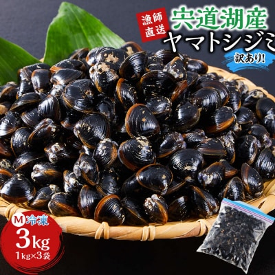 【訳あり】漁師直送!宍道湖産ヤマトシジミ・Mサイズ冷凍3.0kg