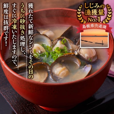 【訳あり】漁師直送!宍道湖産ヤマトシジミ・Mサイズ冷凍3.0kg