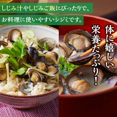 【訳あり】漁師直送!宍道湖産ヤマトシジミ・Mサイズ冷凍3.0kg