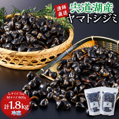 漁師直送!宍道湖産ヤマトシジミ・食べ比べ1.8kg(Lサイズ1kg+Mサイズ0.8kg)