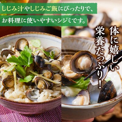 漁師直送!宍道湖産ヤマトシジミ・食べ比べ1.8kg(Lサイズ1kg+Mサイズ0.8kg)