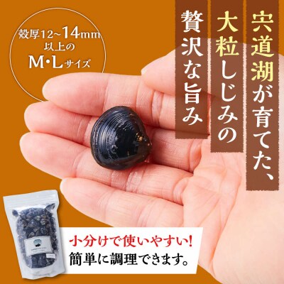 漁師直送!宍道湖産ヤマトシジミ・食べ比べ1.8kg(Lサイズ1kg+Mサイズ0.8kg)