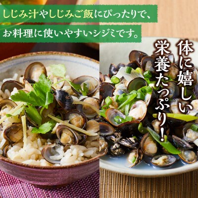 漁師直送!宍道湖産ヤマトシジミ・希少なLLサイズ・冷凍2kg