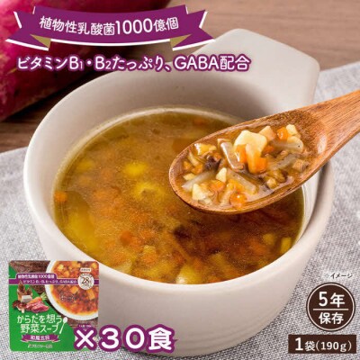 【からだを想う野菜スープ】和風五目30食セット/レトルト/食物アレルギー対応/長期保存/防災食