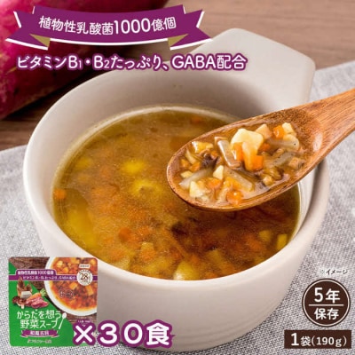 【からだを想う野菜スープ】和風五目30食セット/レトルト/食物アレルギー対応/長期保存/防災食