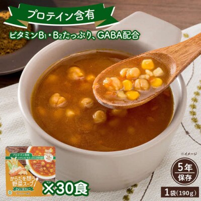 【からだを想う野菜スープ】ひよこ豆カレー30食セット/レトルト/食物アレルギー対応/長期保存/防災食