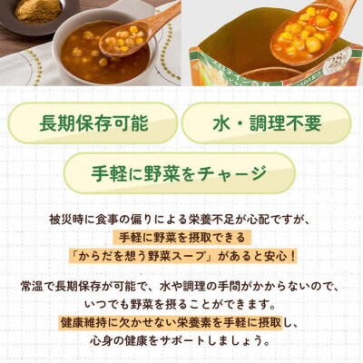 【からだを想う野菜スープ】ひよこ豆カレー30食セット/レトルト/食物アレルギー対応/長期保存/防災食