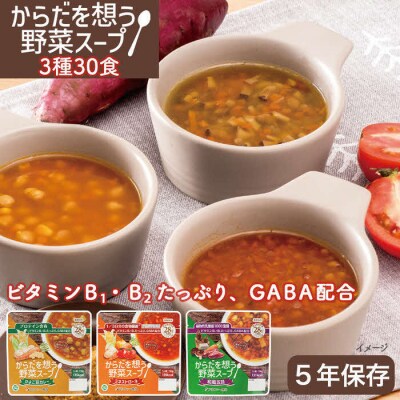 【からだを想う野菜スープ】3種 計30食セット/レトルト/食物アレルギー対応/長期保存/防災食