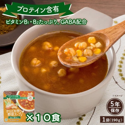 【からだを想う野菜スープ】ひよこ豆カレー10食セット/レトルト/食物アレルギー対応/長期保存/防災食