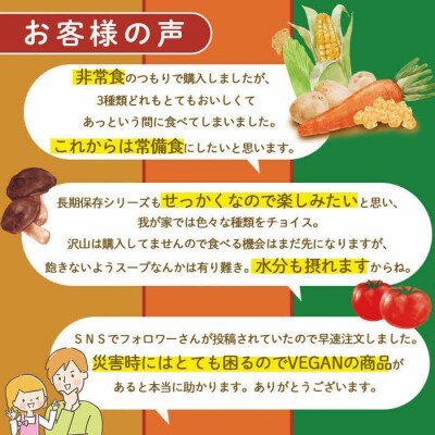 【からだを想う野菜スープ】ひよこ豆カレー10食セット/レトルト/食物アレルギー対応/長期保存/防災食