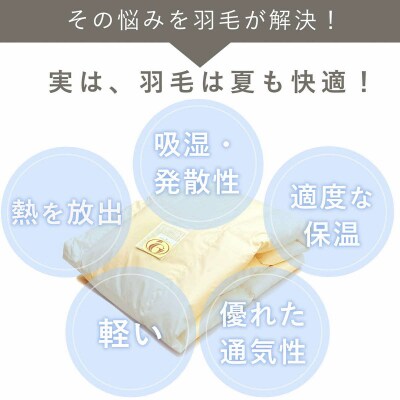 洗える 羽毛 肌掛け布団 1枚 日本製 シングル ダックダウン85% 夏用