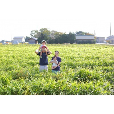 出雲生姜じんじゃエール10本セット