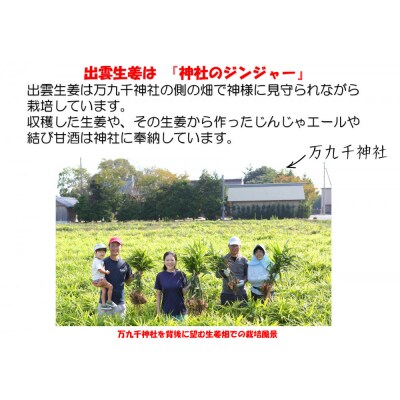 出雲生姜シロップ3本セット