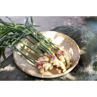 出雲生姜の七味唐辛子と温香雲片(粗挽き生姜)セット