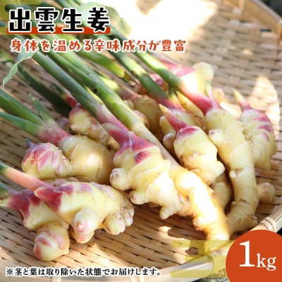 出雲生姜(青果)