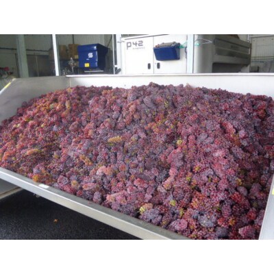 100%ぶどうジュースデラウェア4本セット