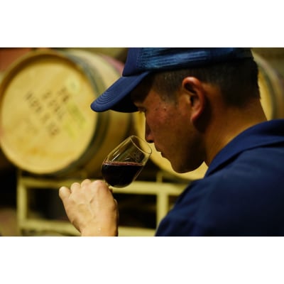 オレンジワイン2種セット