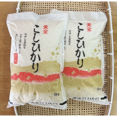 【ふるさと納税】お米　令和7年産　出雲コシヒカリ5k×2袋