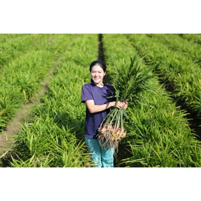 出雲生姜ぽかぽかセット