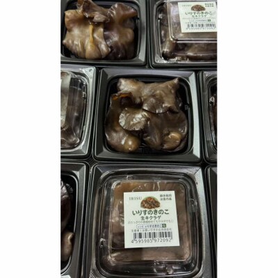 いりすのきのこ 生きくらげ(70g×4パック)
