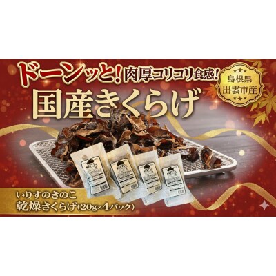 いりすのきのこ　乾燥きくらげ(20g×4パック)