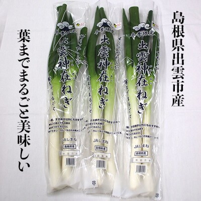 出雲神在(かみあり)ねぎ