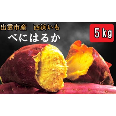 西浜いも(べにはるか)5kg