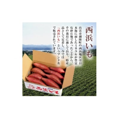 西浜いも(べにはるか)5kg