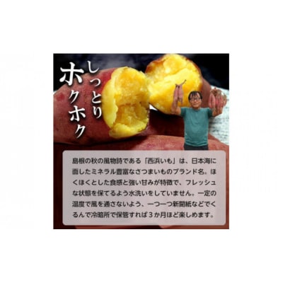 西浜いも(べにはるか)5kg