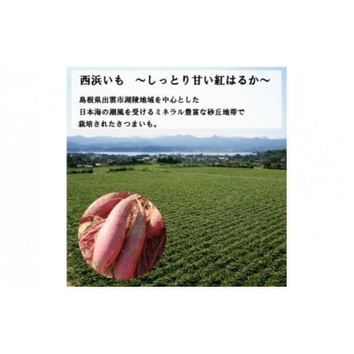 西浜いも(べにはるか)5kg