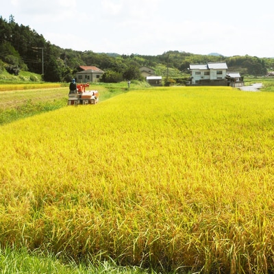 出雲産コシヒカリ(5kg)×2袋と出雲産きぬむすめ(5kg)×1袋