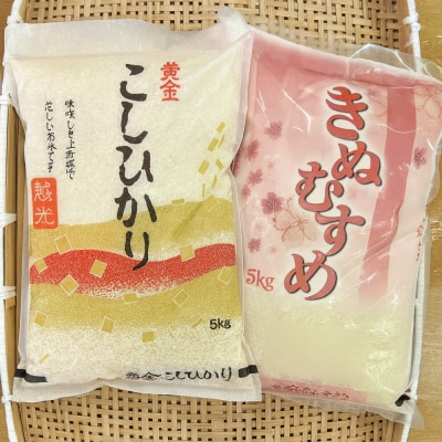 【ふるさと納税】お米　令和8年産　出雲コシヒカリ5kgと出雲きぬむすめ5kg
