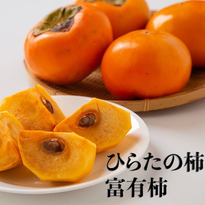 ひらたの柿　富有柿