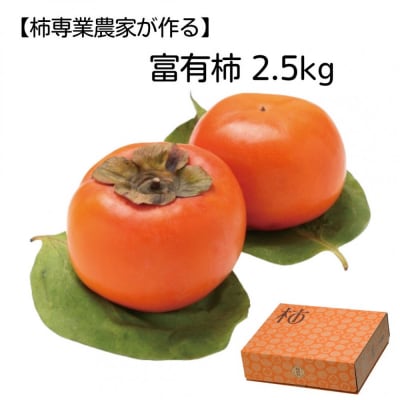 【柿専業の農家が作る】出雲産富有柿　2.5kg【11月下旬以降お届け】