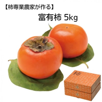 【柿専業の農家が作る】出雲産富有柿　5kg【11月下旬以降お届け】