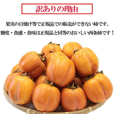 島根県出雲市産　【訳有】ひらたの柿　大玉西条柿(渋抜き済)