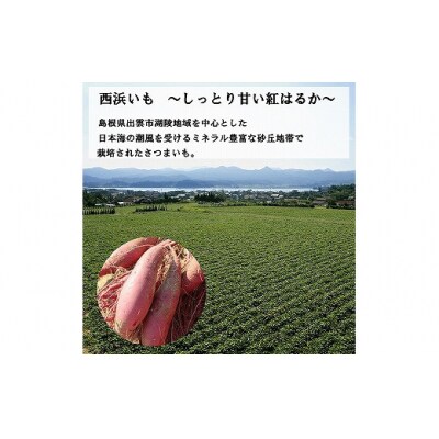 西浜いも(べにはるか)10kg(5kg×2)