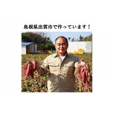西浜いも(べにはるか)10kg(5kg×2)